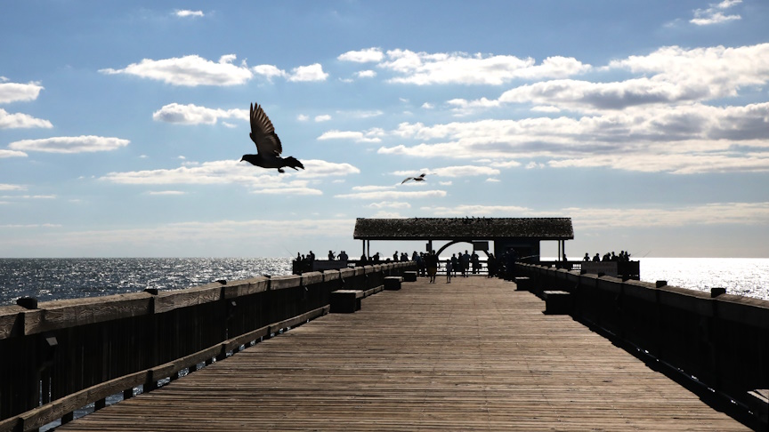 tybee pier